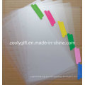 A4 PP Índice Archivo Divider Color Índice Lengüetas de anillo